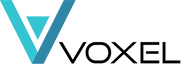 Voxel Print Logo